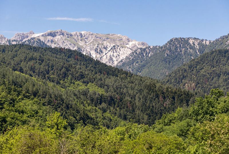 Δασώδεις πλαγιές με χιονισμένη κορυφογραμμή